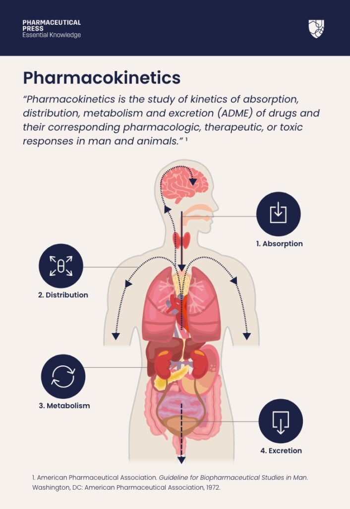 What is pharmacokinetics infographic