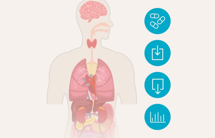 Pharmacokinetics and pharmacodynamics